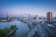 skyline rotterdam van Michael van Dam thumbnail