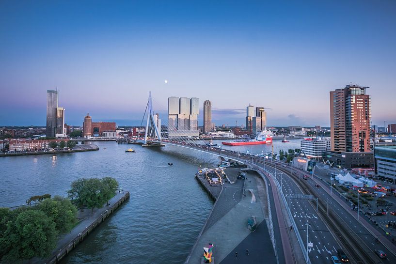 skyline rotterdam van Michael van Dam