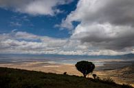 Ngorongoro krater van Peter Vruggink thumbnail