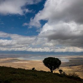 Ngorongoro crater by Peter Vruggink