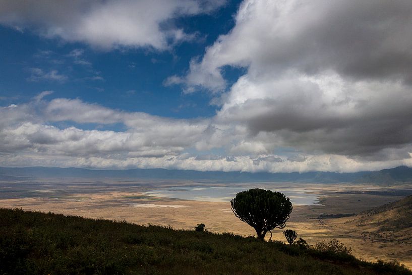 Ngorongoro Krater von Peter Vruggink