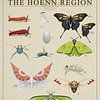 Insects from Hoenn by Steven Kingsbury