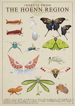 Insects from Hoenn