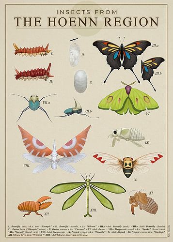 Insecten uit Hoenn van Steven Kingsbury
