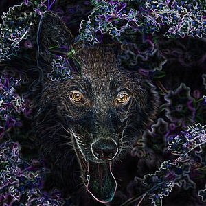Loup lumineux