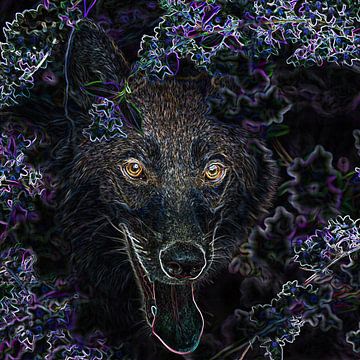 Glowing wolf op zwarte achtergrond van gea strucks