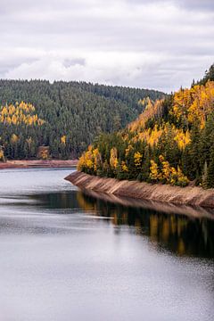 Herbstliche Wanderung rund um die Ohratalsperre bei Luisenthal  - Thüringer Wald von Oliver Hlavaty