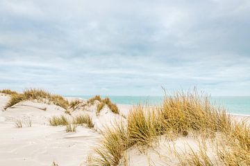 Île des Wadden Terschelling plage dune de mer sur Terschelling in beeld