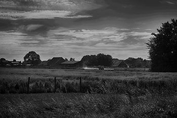 Hollands Landschap in Zwart/Wit