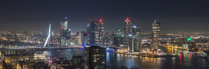 Het uitzicht op de skyline van Rotterdam van MS Fotografie | Marc van der Stelt
