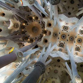 La Sagrada Familia, Barcelona. von Luke Price