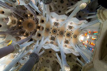 La Sagrada Familia, Barcelona. von Luke Price