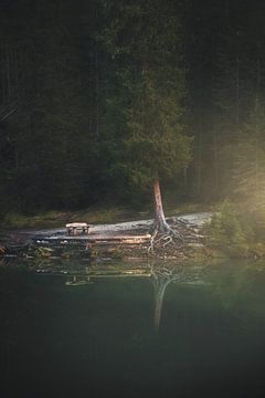 Dolomiten Pragser Wildsee von Jean Claude Castor