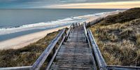 Winter walk to the sea
