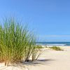 Dunes at the beach with Beachgrass during a beautiful summer day at the North Sea beach in Holland. by Sjoerd van der Wal