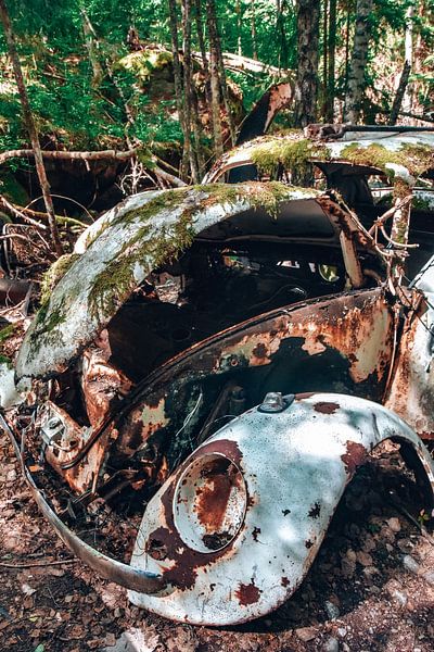 Coccinelle Volkswagen cimetière de voitures Suède Bastnas par Karin Verweij