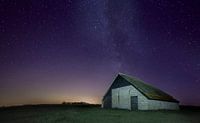 Texel Foto: Schafe Boet 