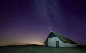 Texel photo Sheep fines at night by Natuurlijk schoon