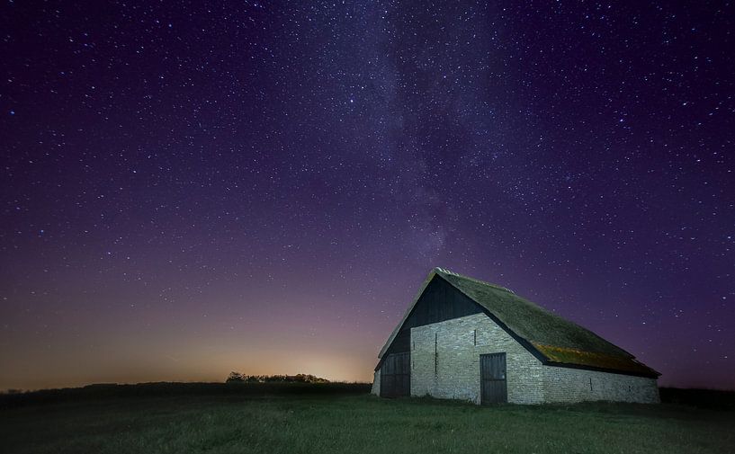 Texel foto Schapen boet bij nacht van Natuurlijk schoon