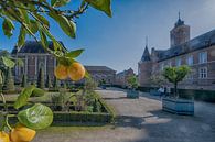 Alden Biesen van Peter Bartelings thumbnail