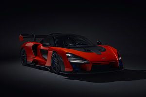 McLaren van Eko Widodo