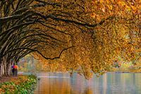 Herfst aan de rivier