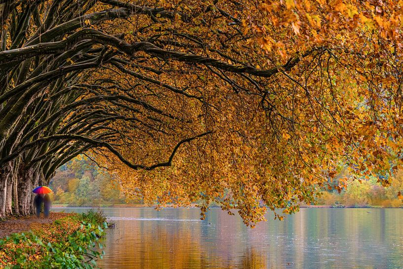 Herbst am Fluß von Sabine Böke-Bergau