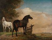 Zwei Pferde auf der Weide an einem Zaun, Paulus Potter von Meisterhafte Meister Miniaturansicht