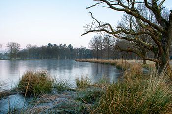 Sunrise in national park Dwingelderveld