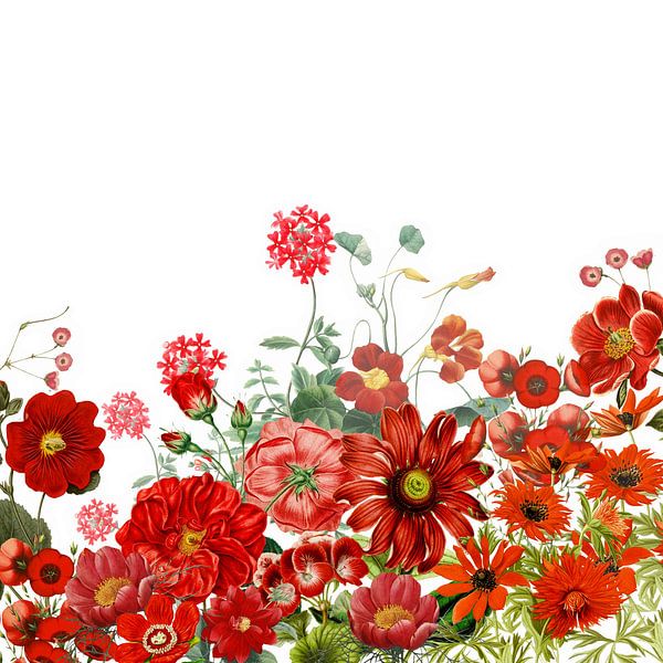 Rote Blumen Wiese Vintage von Floral Abstractions