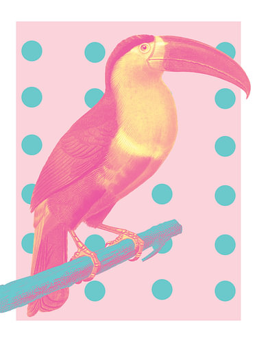 The Tropical Polka Dot Neon Toucan II by Marja van den Hurk