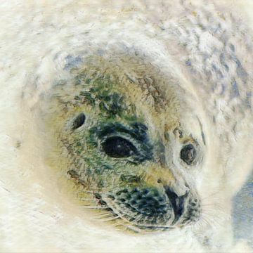 Süßer Seehundkopf unter Wasser