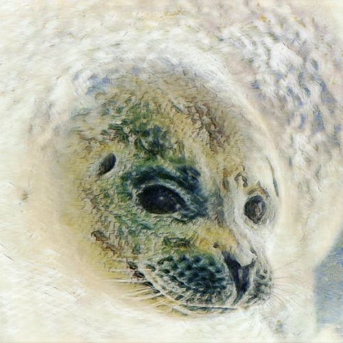 Lieve kop van een zeehond onderwater