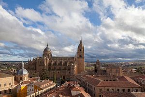 Ancienne et nouvelle cathédrale avec université, Salamanque, Castilla y León, Espagne