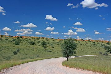 Straße in Südafrika by ManSch