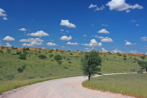 Straße in Südafrika