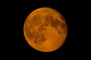 Moon with a clearly visible moon surface in the dark night sky