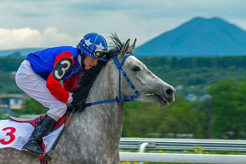 Jockey Hasanov, de winnaar van de race om de prijs van de North van Mikhail Pogosov