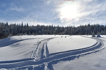 A snowmobile trail in a field by Claude Laprise