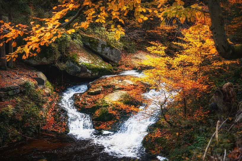 Herbstfarben im Ilsetal von Oliver Henze