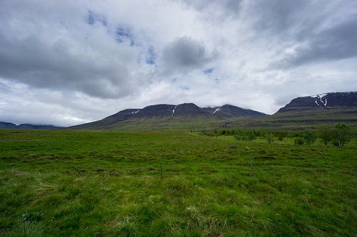 IJsland - Besneeuwde bergtoppen achter groene velden en bomen in regenachtige wolken