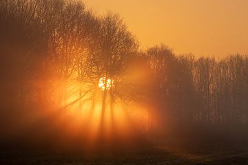 Zonsopkomst in de mist. van Hans Buls Photography