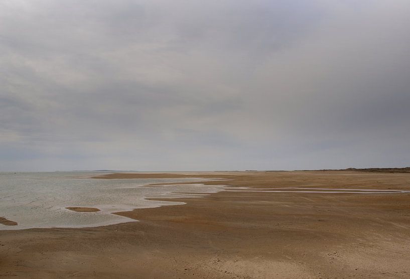 Groene Strand, Terschelling von Rinke Velds