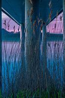 Under the bridge