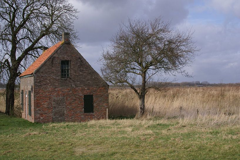 brabantse biesbosch von Teus Kooijfotografie
