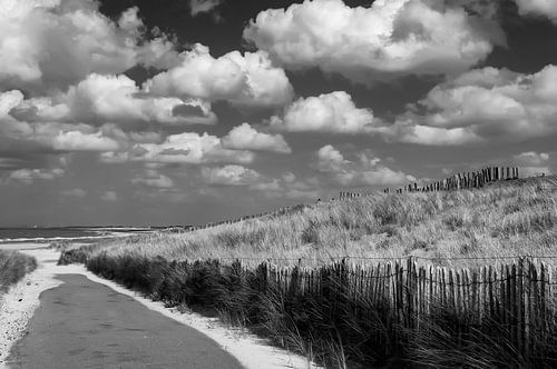About the dunes of Cadzand-Bad