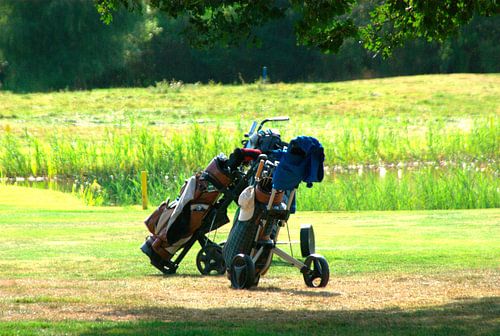 Golf Bags and Trolleys