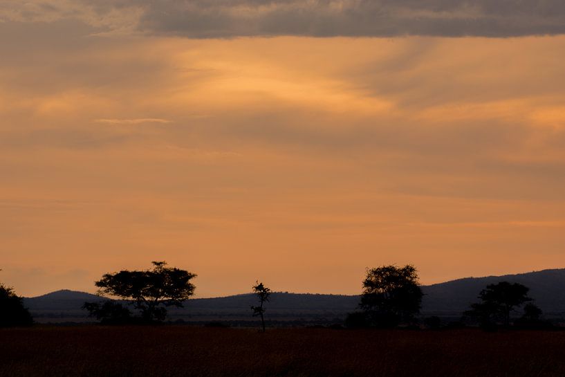 Zonsondergang Serengeti van Menno Selles