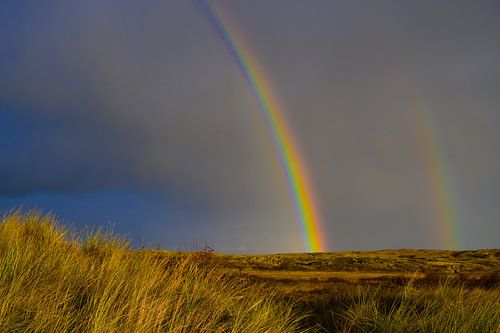 Regenboog in de duinen van Texel in de Waddenzee