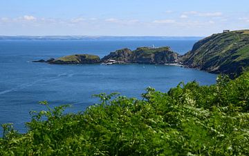 Lundy, Engeland, Verenigd Koninkrijk - I van Jarne Buttiens